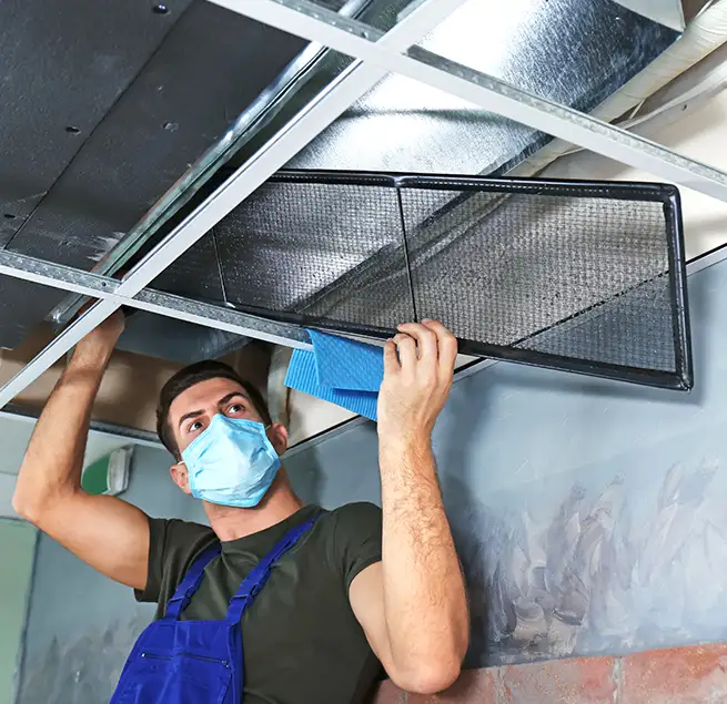 Why Homeowners & Businesses Trust Us in Sammamish, WA?