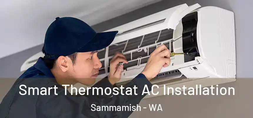  Smart Thermostat AC Installation Sammamish - WA