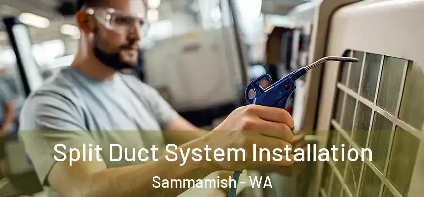  Split Duct System Installation Sammamish - WA