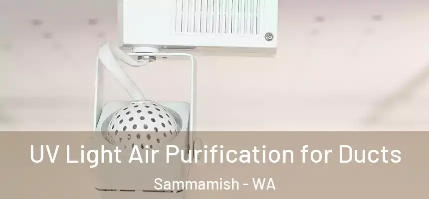 UV Light Air Purification for Ducts Sammamish - WA
