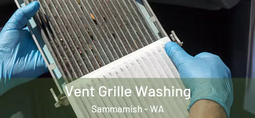 Vent Grille Washing Sammamish - WA