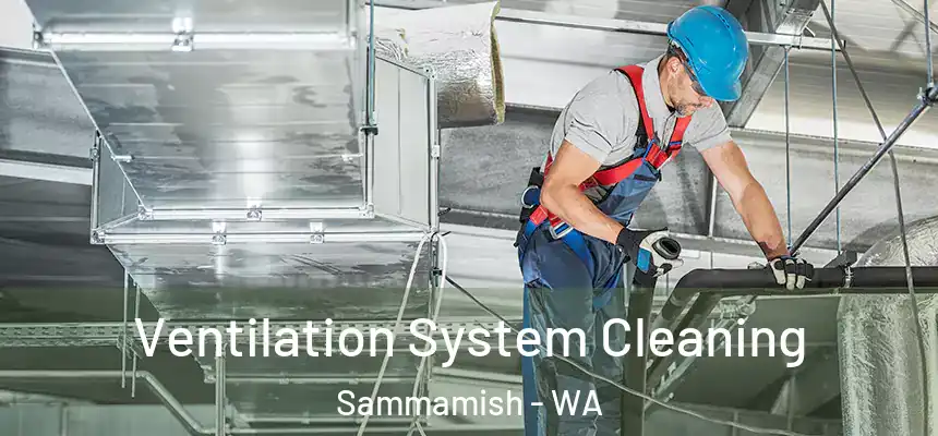 Ventilation System Cleaning Sammamish - WA